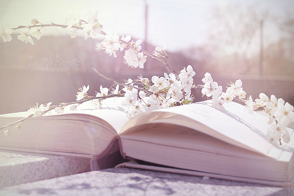 Що почитати у квітні: 12 найпопулярніших статей за березень